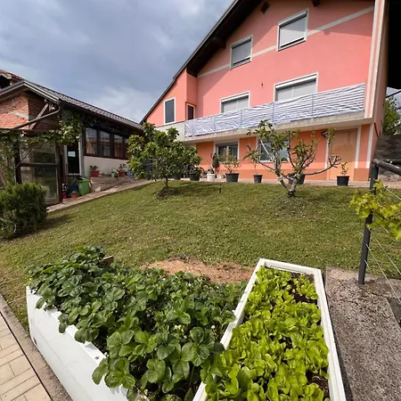 House Crkvina * Srednji Busevic