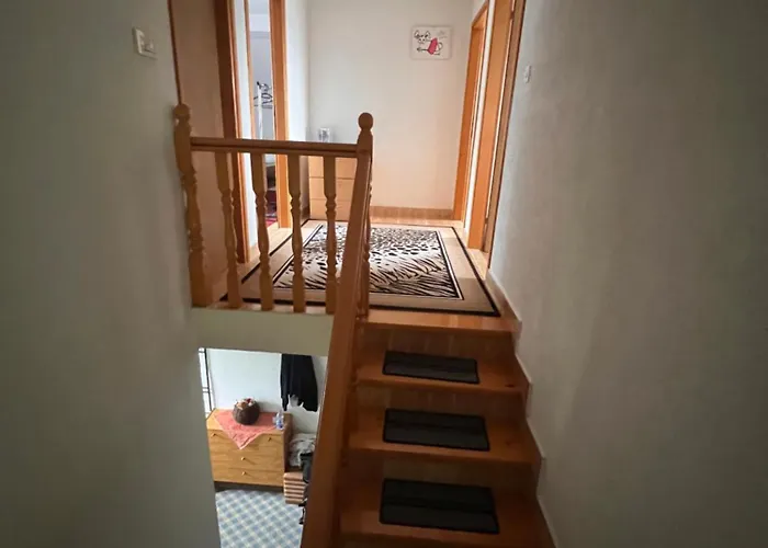 House Crkvina 乡村民宿 Srednji Busevic